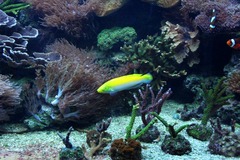 Killikus&reg; Fotographie